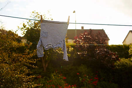 Striped top on clothes lineの写真素材