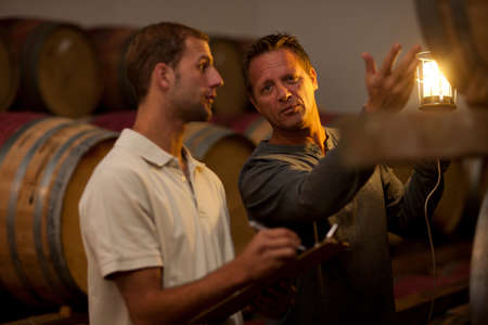 Checking wine aging in barrels