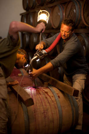 Pumping into barrel of wine