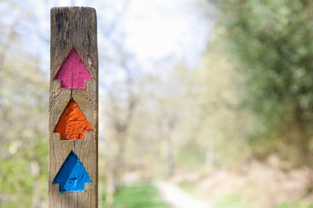 Colourful direction arrows in forest