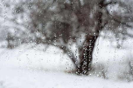 Blur shot of tree
