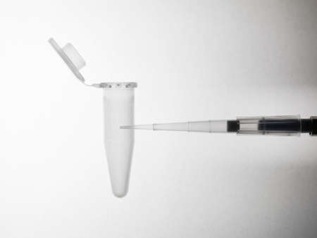 Pipette and eppendorf test tube
