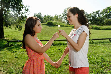 Two young women holding dandelion clockの写真素材