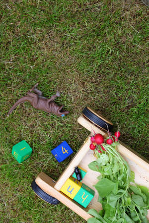 Push cart and toys in garden