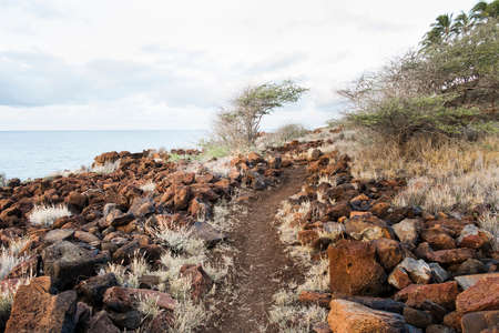 Dirt path surrounded by rocks beside sea,  Lanai City, Hawaii, USAの写真素材