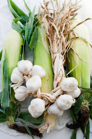 Cloves of fresh garlic with leeksの写真素材