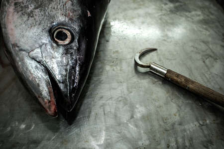 Raw fish and hook