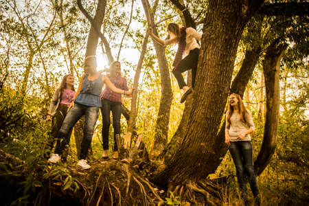 Five young women exploring woodsの写真素材