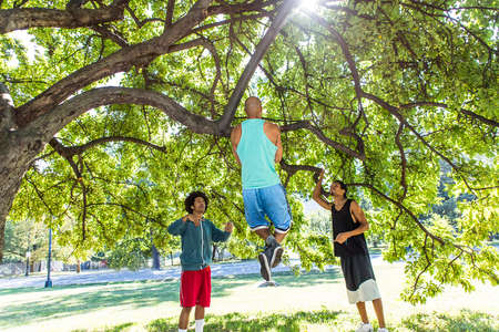 Young man doing chin ups on tree in park with friends