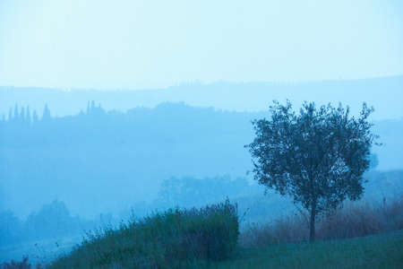 Rural landscape, Tuscany, Italyの写真素材