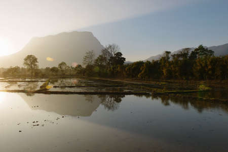 North Thailand, rice paddy and karst landscape, Chiang Dao, Thailandの写真素材