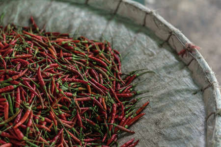 Red chilies in flower market, Bangkok, Thailand, Southeast Asiaの写真素材