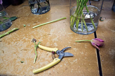 Still life of cut tulip, vase and secateurs in florists shop
