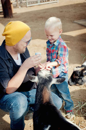 Father and son feeding goatの写真素材