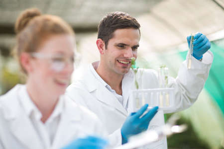 Male and female scientists looking at plant sample in test tubeの写真素材