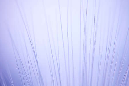 Close up of rows of illuminated fiber optic light strandsの写真素材