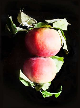 Cider apples on a black backgroundの写真素材
