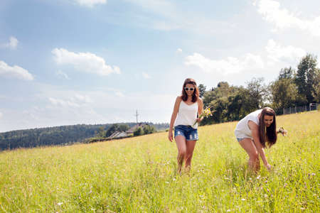 Young women picking wildflowers in fieldの写真素材