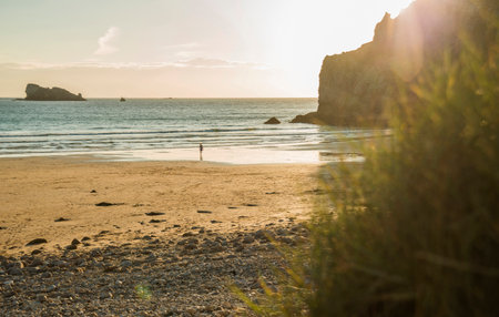 Distant view of male teenage surfer walking toward sea, Camaret-sur-mer, Brittany, Franceの写真素材