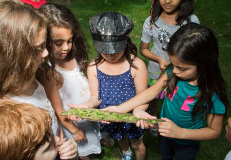 Group of children looking at tree bark at summer camp