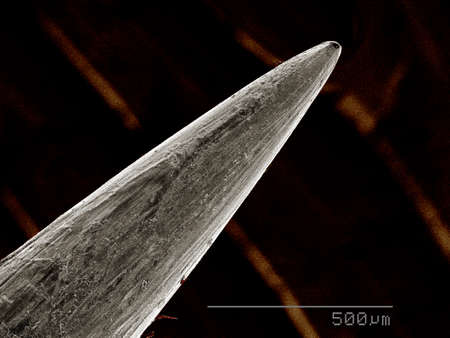Point of sewing needle SEMの写真素材