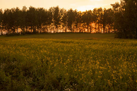 Sarsy village, Sverdlovsk region, Russia