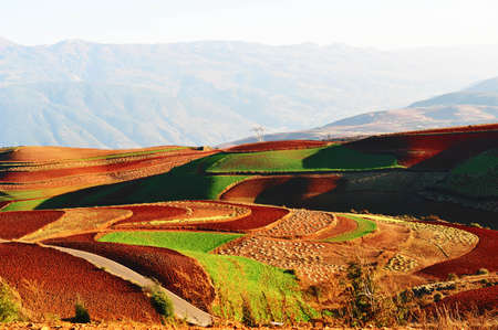 Colourful fields, Yunnan, China.の写真素材