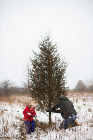 Father and daughter cutting down christmas treeの写真素材
