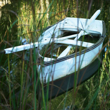 Boat and oars in lake hidden behind tall grassの写真素材