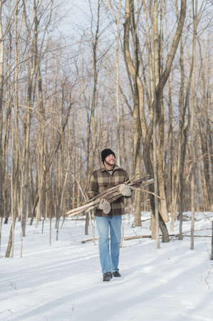 Man gathering wood in forest, Young's Point, Ontario, Canadaの写真素材