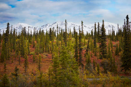 Wrangell St. Eliasの写真素材