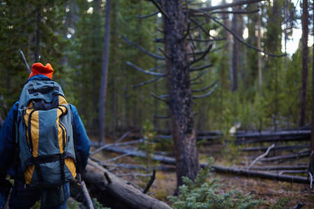 Hiker, Yellowstone National Park, Wyoming, USAの写真素材