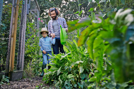 Father and son watering plants on allotment
