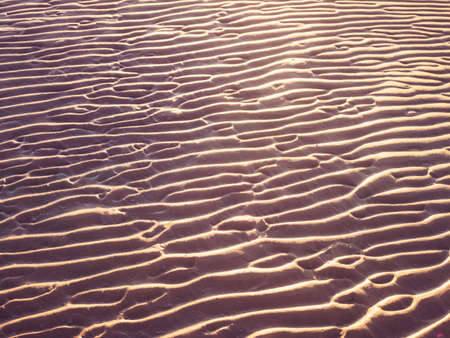Sand dune by day