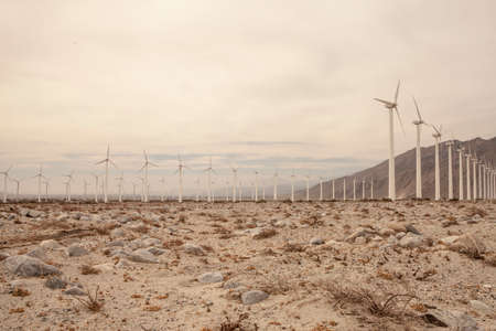 Rows of wind turbines, California, USAの写真素材
