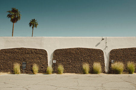 Concrete wall and palm trees, Palm Springs, California, USA