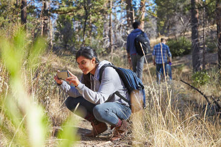 Young female hiker photographing on smartphone in forest, Los Angeles, California, USAの写真素材