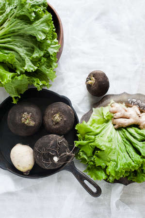 Still life with root ginger, lettuce and black turnipの写真素材