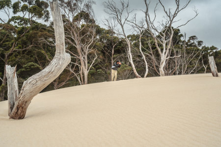 Photographer taking photographs of sand dunes, Tasmaniaの写真素材