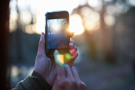 Hands of mature woman photographing forest on smartphoneの写真素材