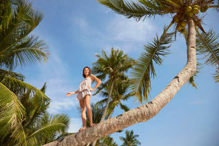 Low angle portrait of girl on palm tree, Rawa Island Malaysiaの写真素材