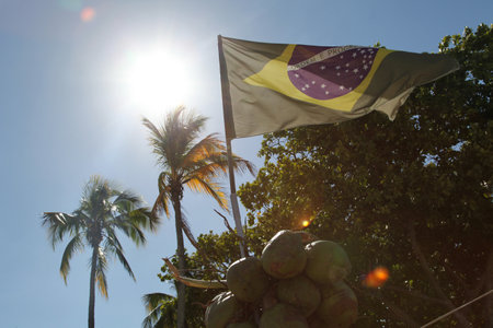 Brazilian flag and coconuts, Rio De Janeiro, Brazilの写真素材