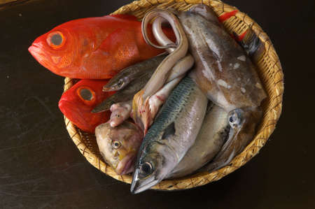 Selection of raw fresh fish in basket