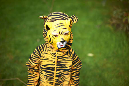 Young child dressed as tigerの写真素材