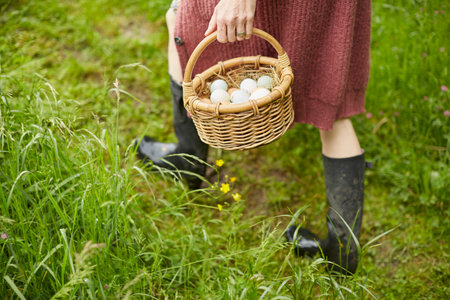 Cropped view of woman with basket of free range eggsの写真素材