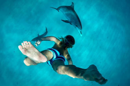 Boy free diving with Atlantic spotted dolphinsの写真素材