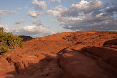 View of petrified dune, Snow Canyon State Park, Utah, USA