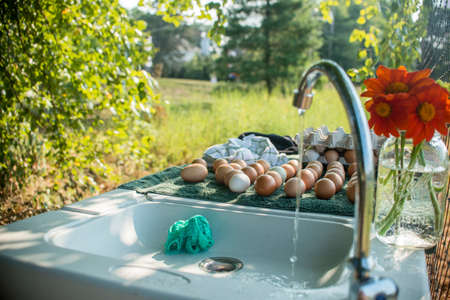Outdoor farm sink with running water and fresh eggs on drainerの写真素材