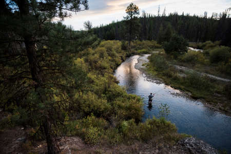 Man in river fly fishing, near Lolo Pass, Bitterroot Mountains, Missoula, Montana, USA