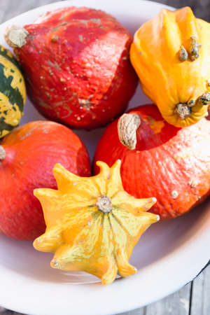 Various squash vegetables in dish